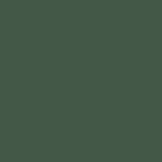 Forest Texture